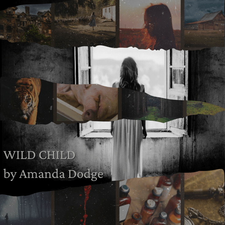 Wild child amanda dodge